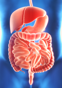 Salut digestiva
